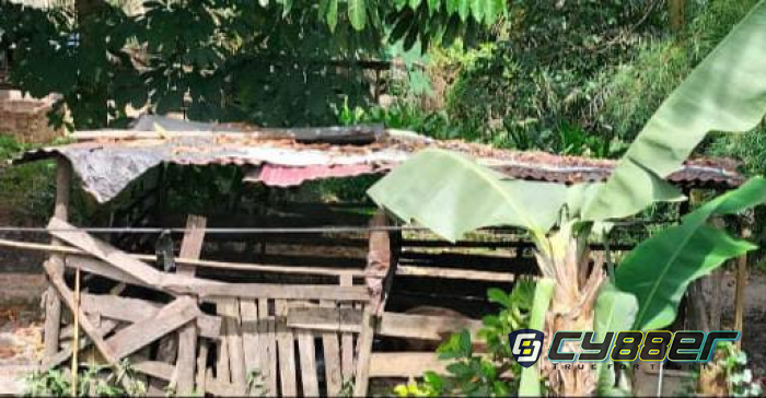 Mencemari Lingkungan dan Berbau Busuk, Warga  Perum Athaya Kampar Minta Peternakan Babi Direlokasi